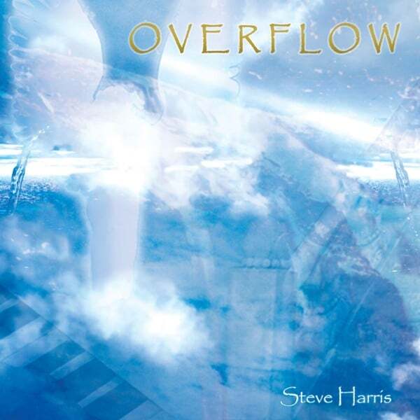 Cover art for Overflow